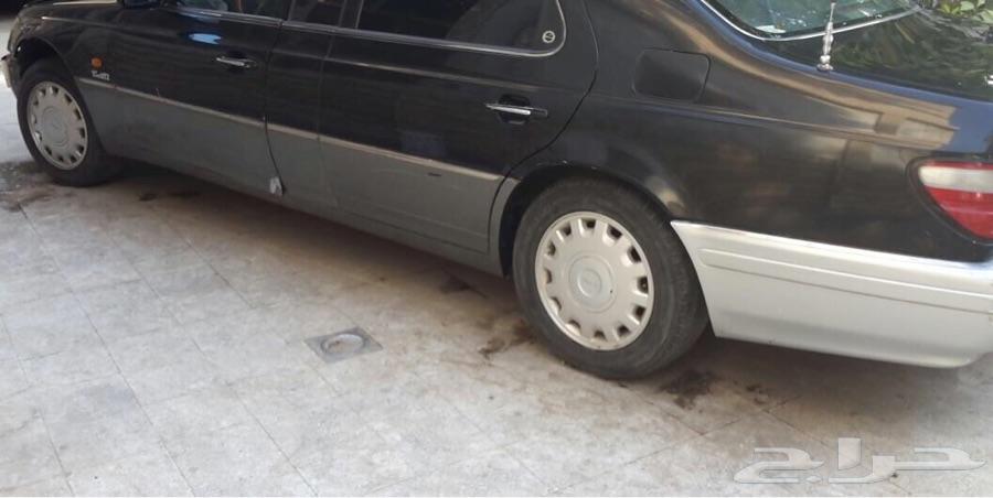 سانغ يونغ شيرمان