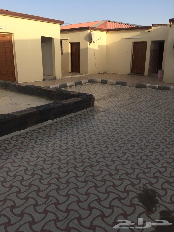 إستراحة عزاب للإيجار الشهري و السنوي