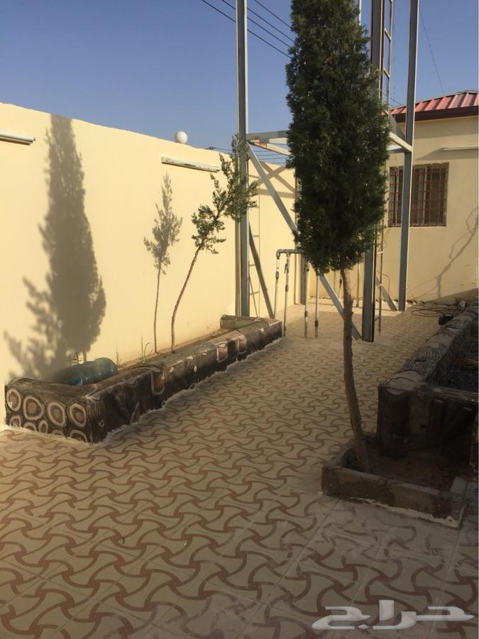 إستراحة عزاب للإيجار الشهري و السنوي