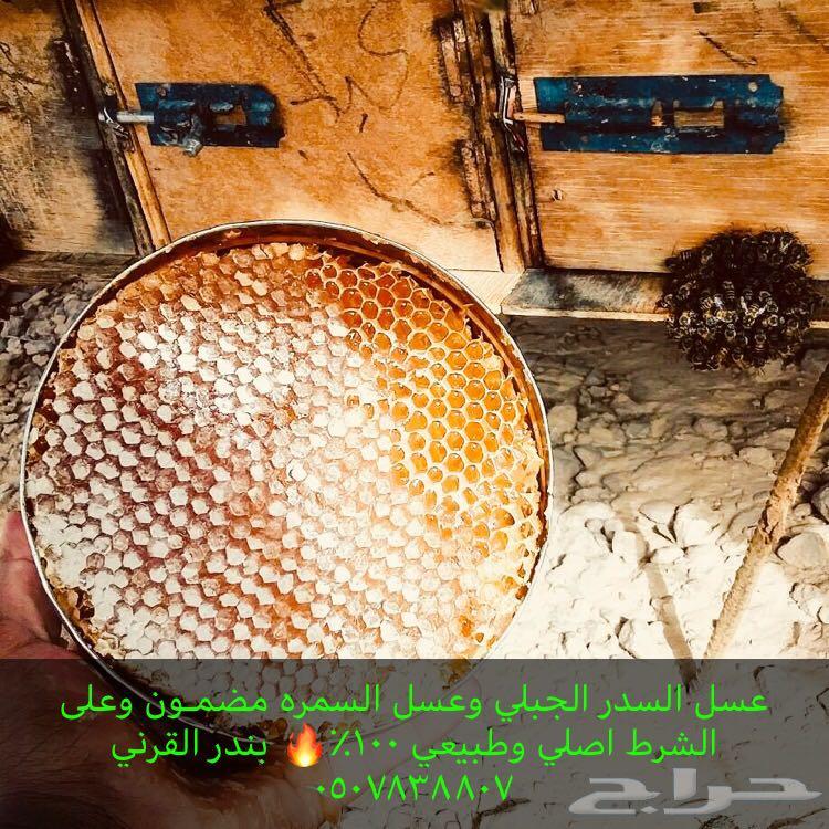 عسل السدر الجبلي وعسل السمره مضمون100