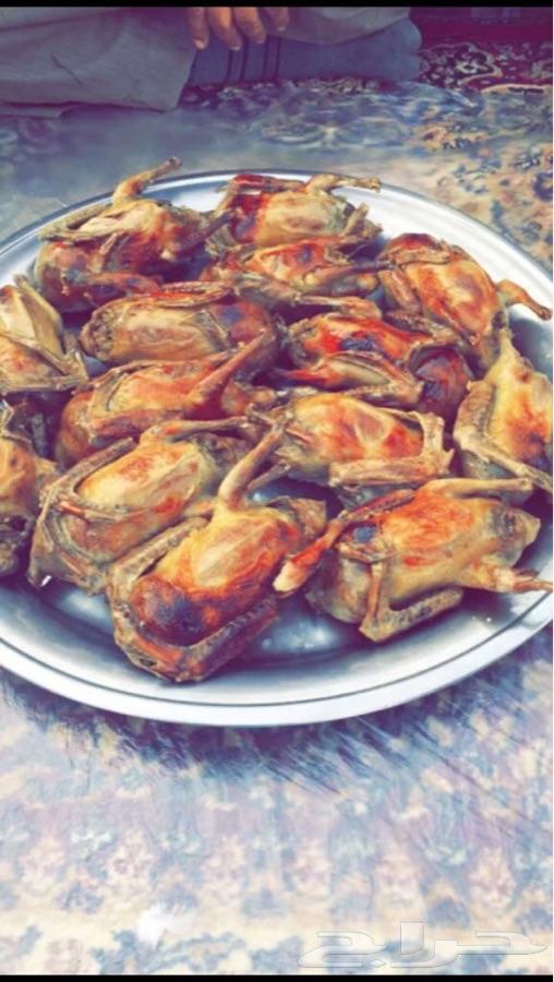حمام فرنسي شحم ولحم ونظافه