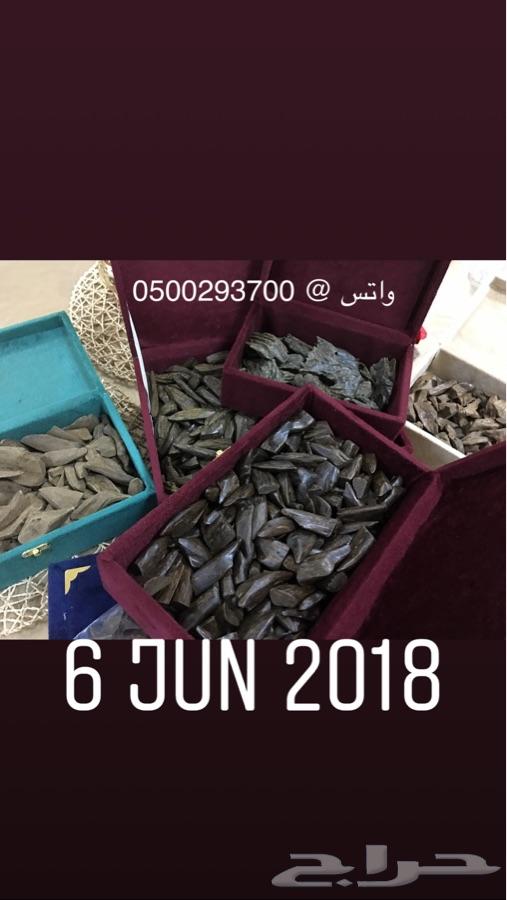 بخوور عوود طيب وثابت