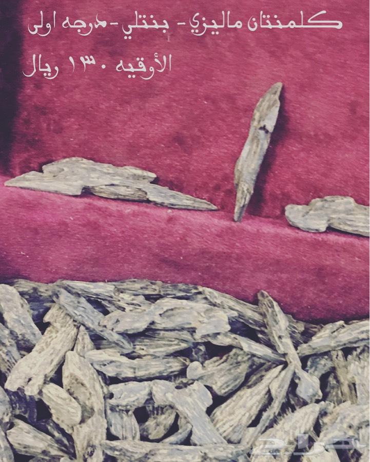 بخوور عوود طيب وثابت
