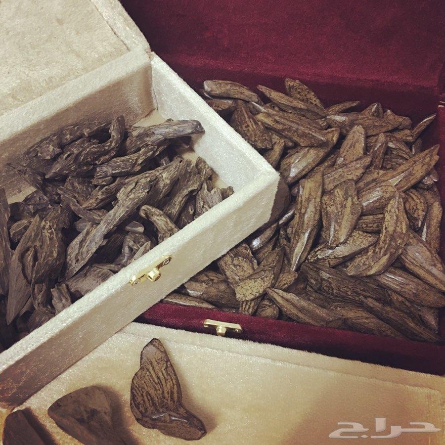 بخوور عوود طيب وثابت