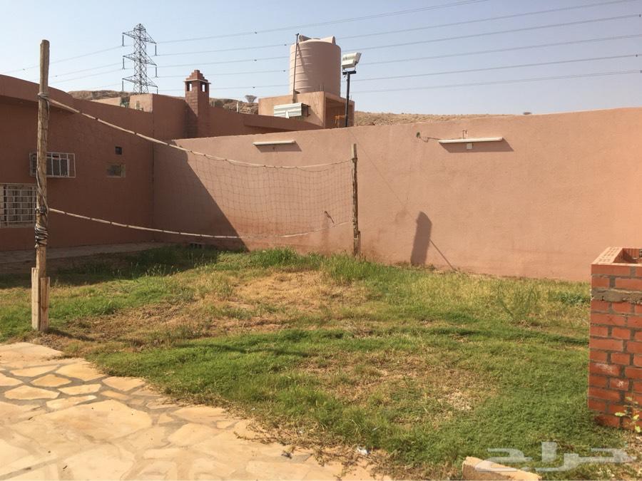 مجمع استراحات للبيع او الايجار طويل المد