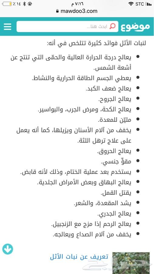 عسل ( أثل ) منشط ومفيد جدا للبطن.