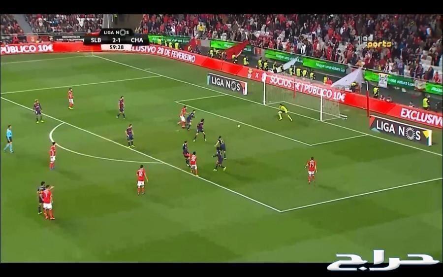 iptv iptv اشتراك بي اوت كيو beoutq و شاشه