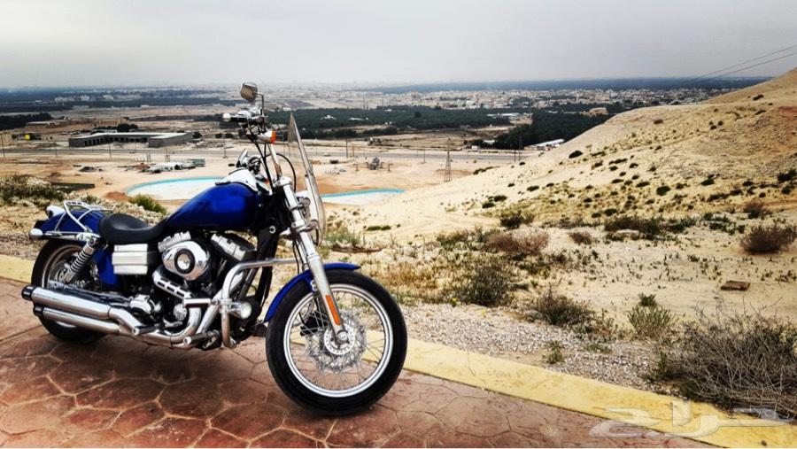 Harley dyna هارلي داينا