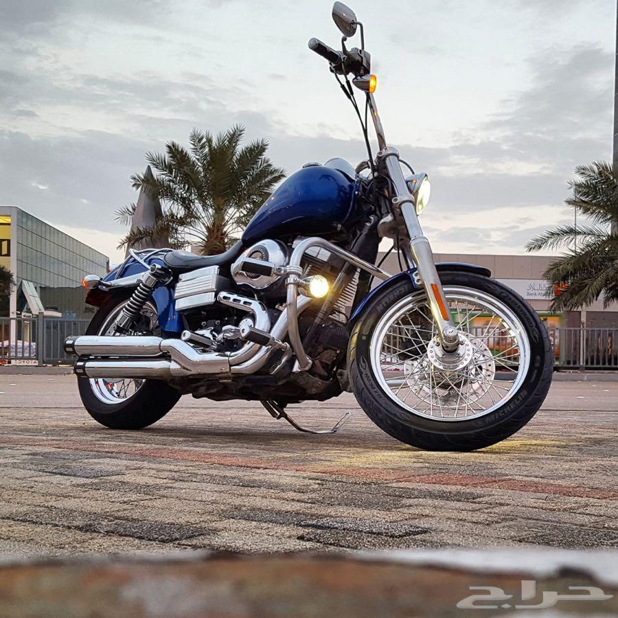 Harley dyna هارلي داينا