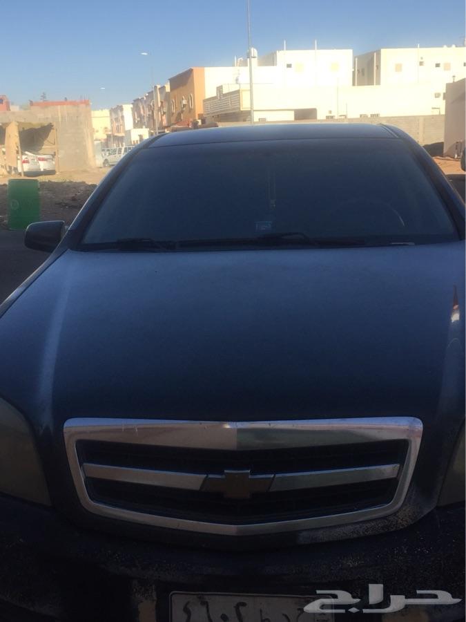 المدينة المنورة
