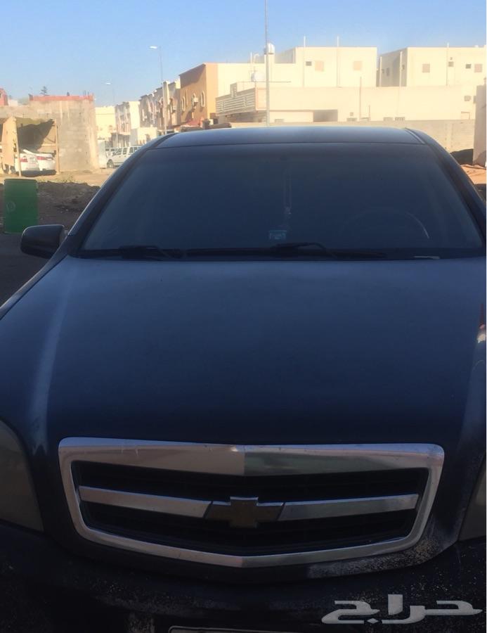المدينة المنورة