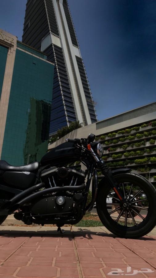 دباب هارلي ديفيدسون iron 883 stage 1