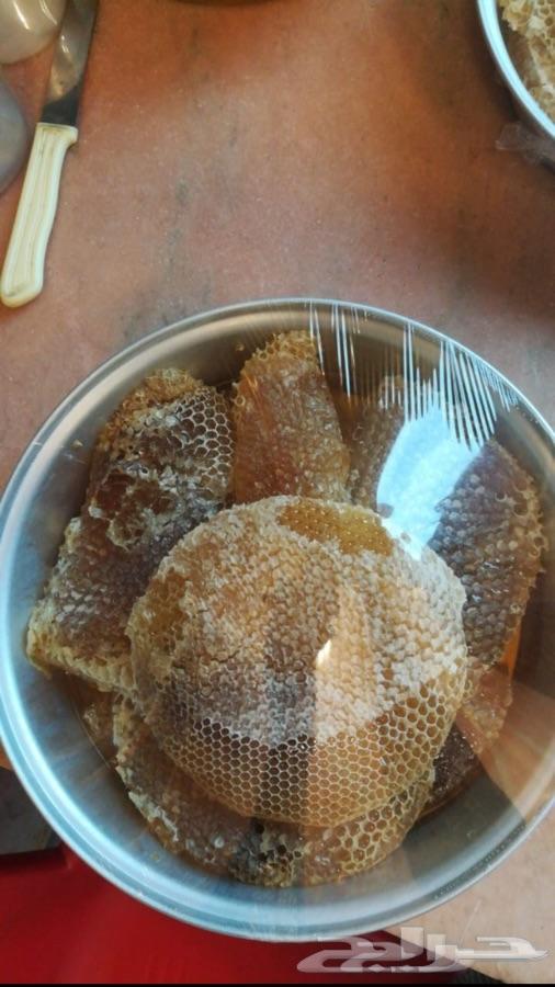 عسل السدره الجبلي وعسل السمره وعسل عرسان