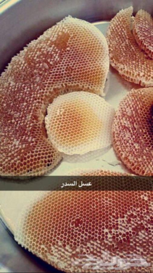 عسل السدره الجبلي وعسل السمره وعسل عرسان