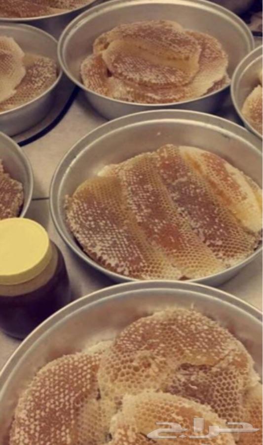 عسل السدره الجبلي وعسل السمره وعسل عرسان