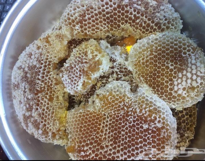 عسل السدره الجبلي وعسل السمره وعسل عرسان