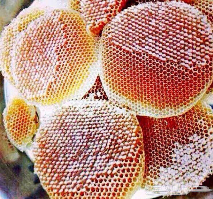 عسل السدره الجبلي وعسل السمره وعسل عرسان
