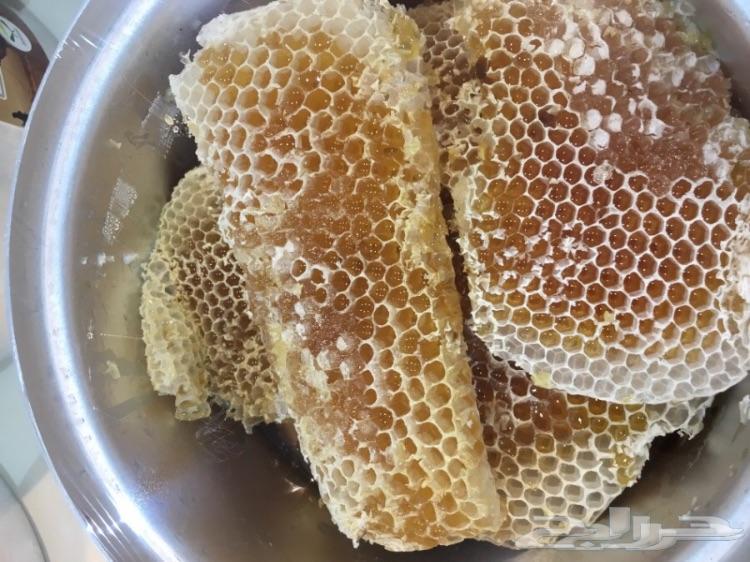 عسل السدره الجبلي وعسل السمره وعسل عرسان