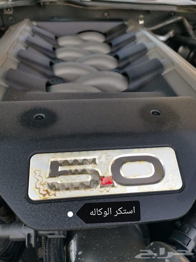 موستنج Premium GT 2015 نظيف جدا