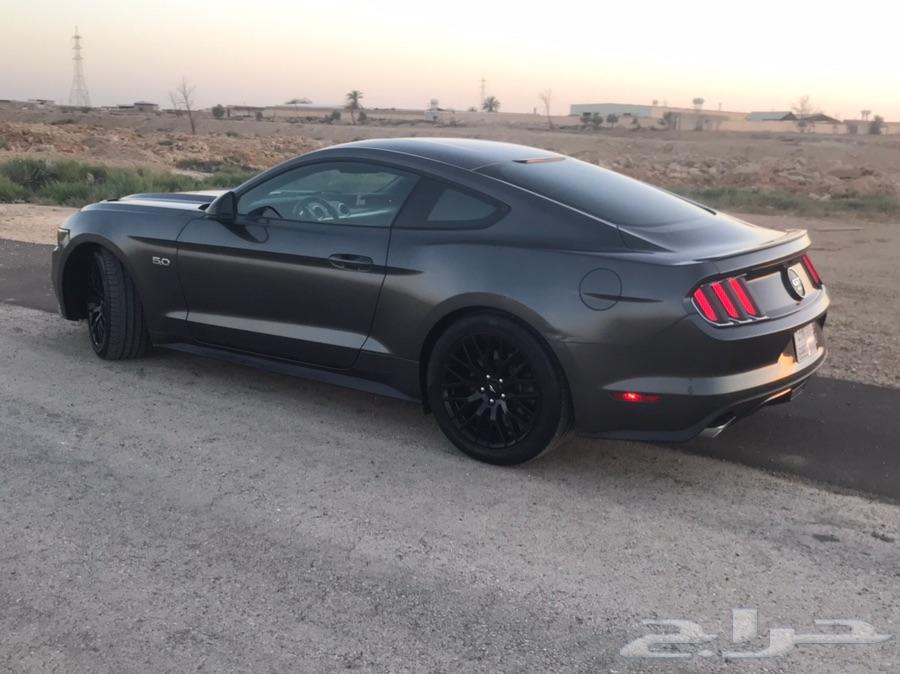 موستنج Premium GT 2015 نظيف جدا