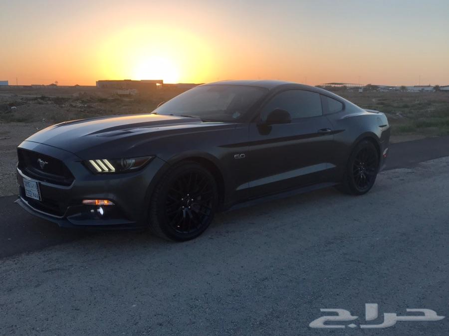 موستنج Premium GT 2015 نظيف جدا