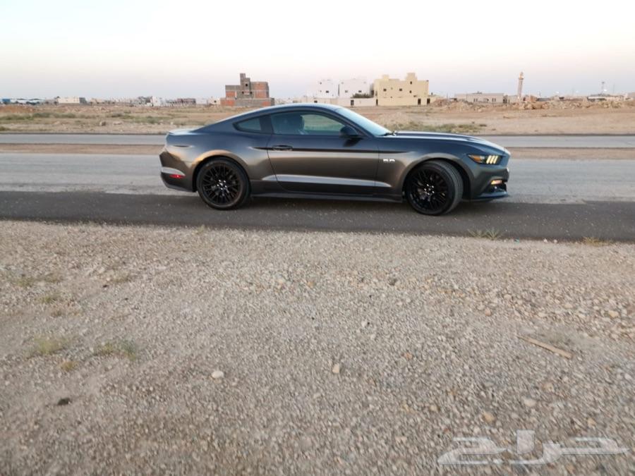 موستنج Premium GT 2015 نظيف جدا