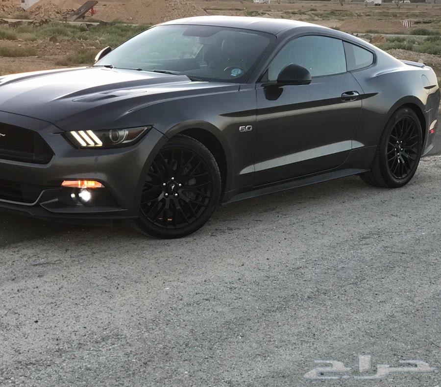 موستنج Premium GT 2015 نظيف جدا