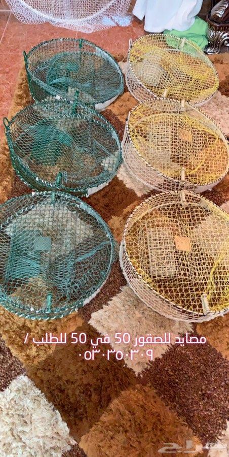 صيادة صقور وشواهين وطيور جارحه وعاديه