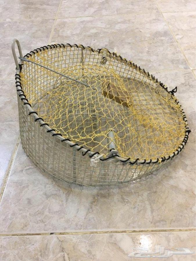 صيادة صقور وشواهين وطيور جارحه وعاديه