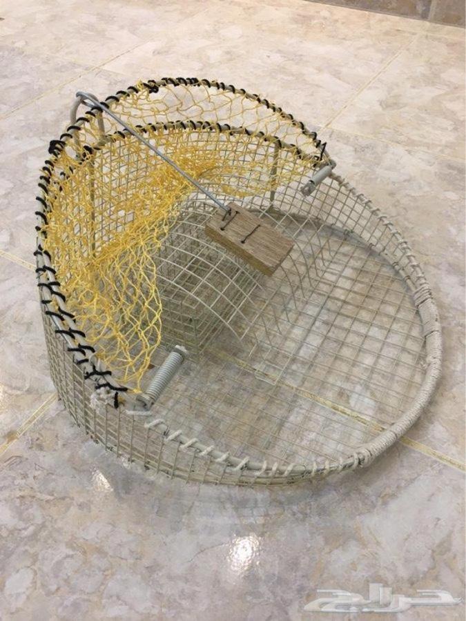 صيادة صقور وشواهين وطيور جارحه وعاديه