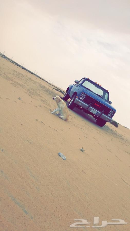 للبيع جمس بهبهاني