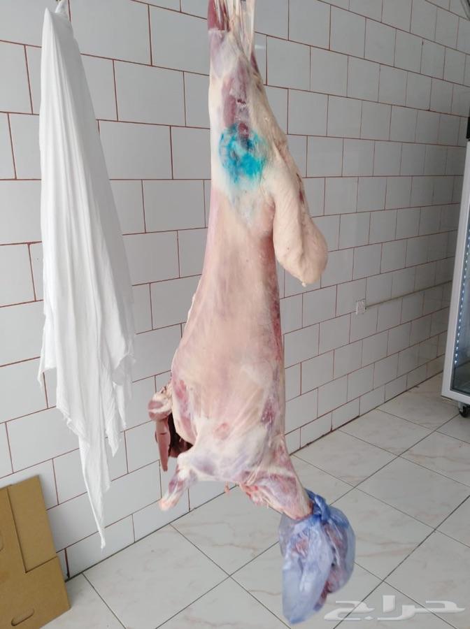 حشو وذبايح طيبات