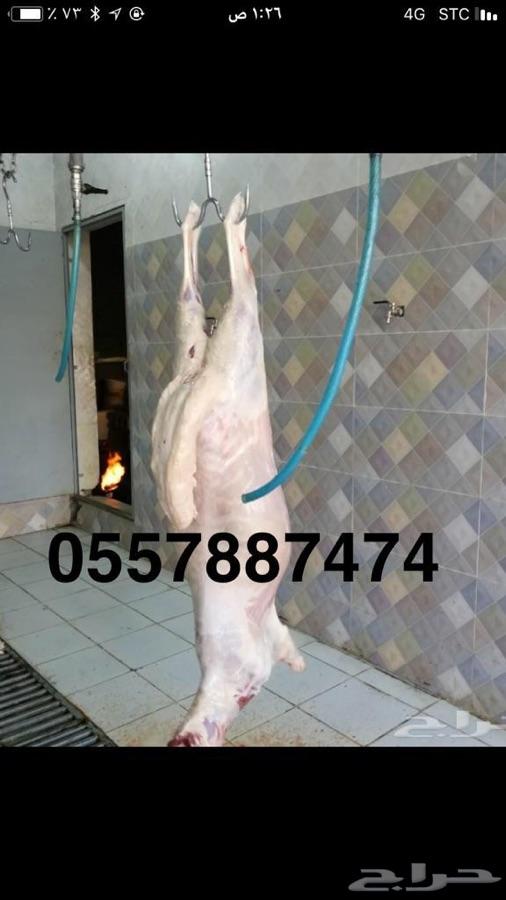 ذبايح طليان واسعارنا ارخص من السوق