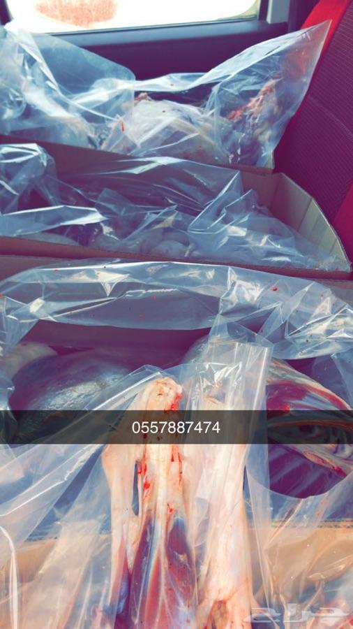 ذبايح طليان واسعارنا ارخص من السوق