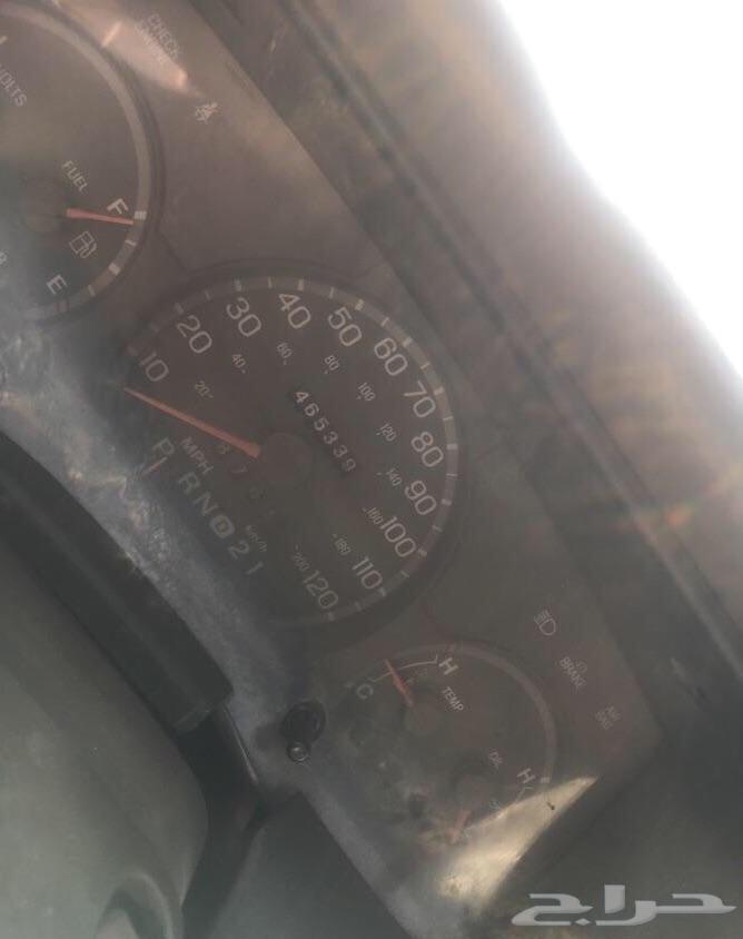 المدينة المنورة
