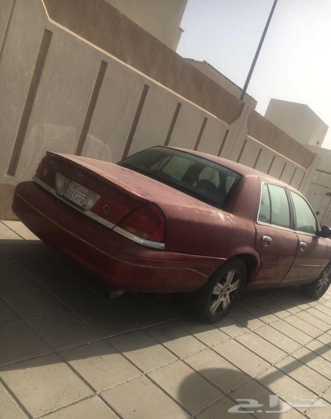 المدينة المنورة