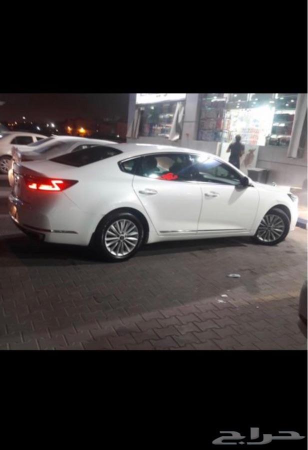 كادنزا 2018 للتنازل