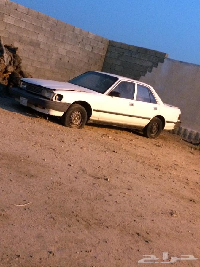 كراسيدات