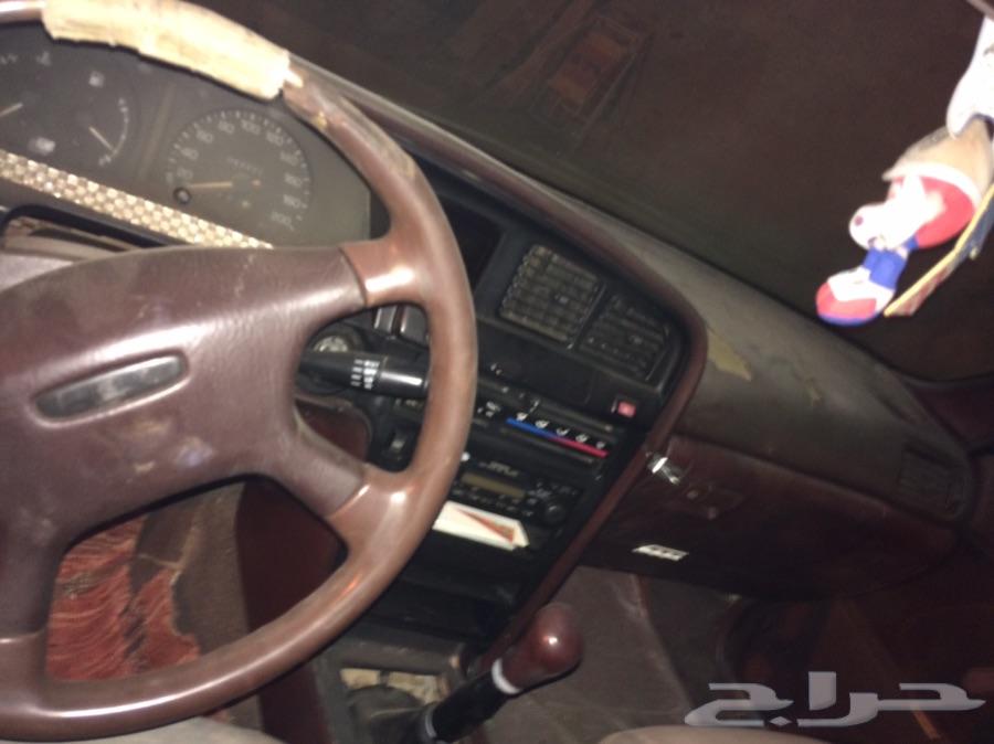 كراسيدات