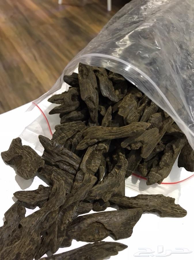 عود محسن فاخر