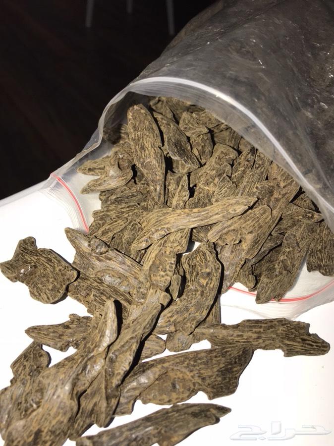 عود محسن فاخر