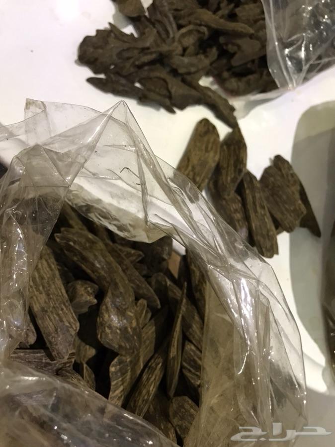 عود محسن فاخر