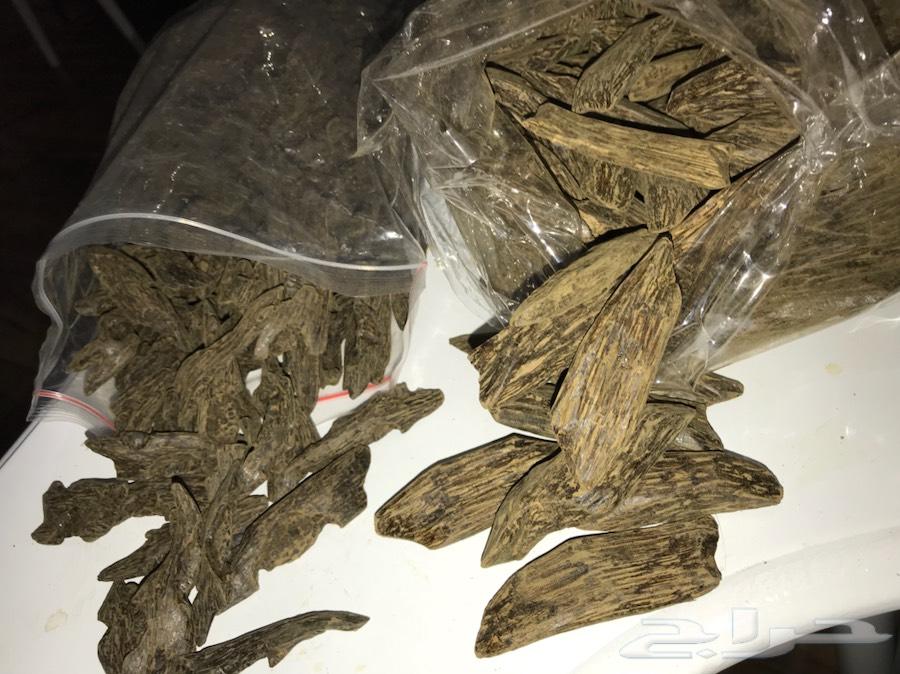 عود محسن فاخر