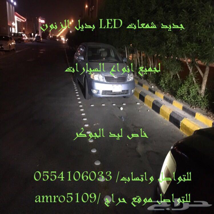 بديل الزينون ليد