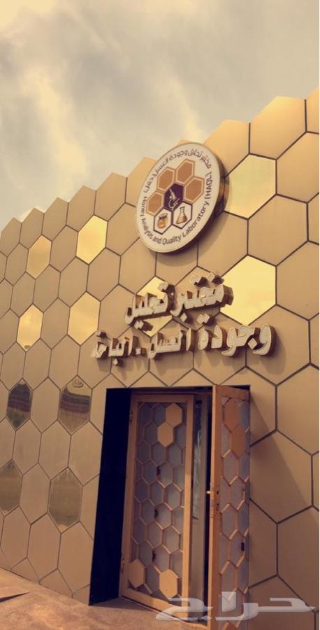 عسل سدر