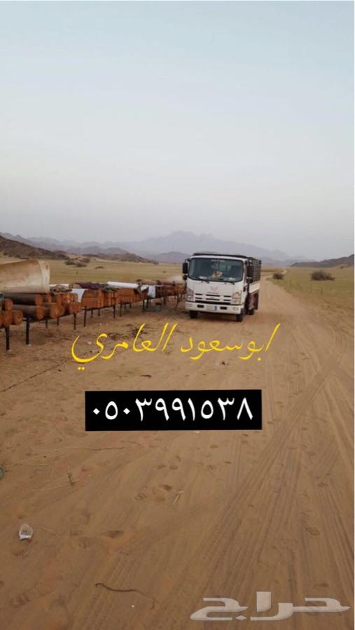 عسل سدر