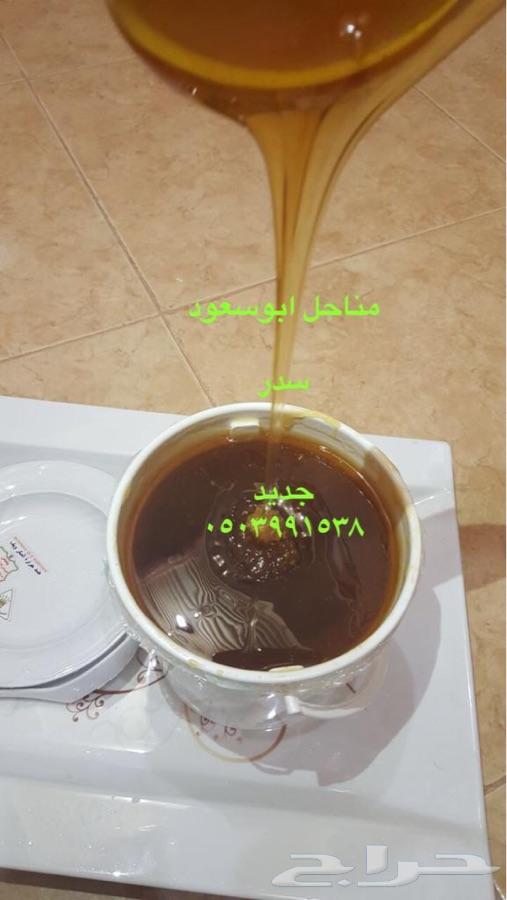 عسل سدر