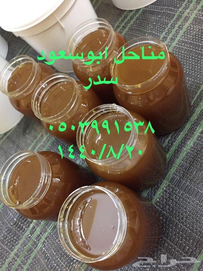 عسل سدر