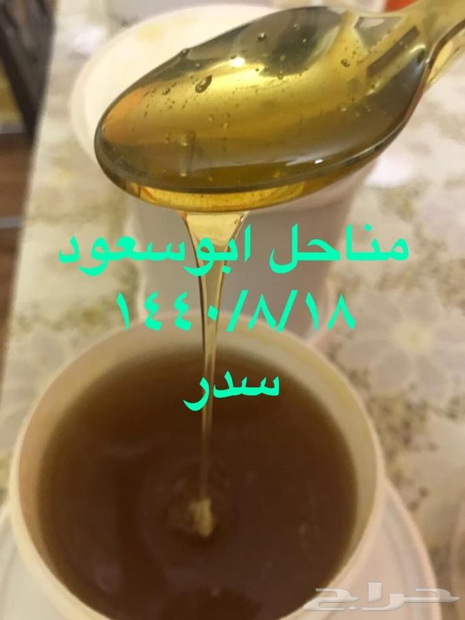 عسل سدر