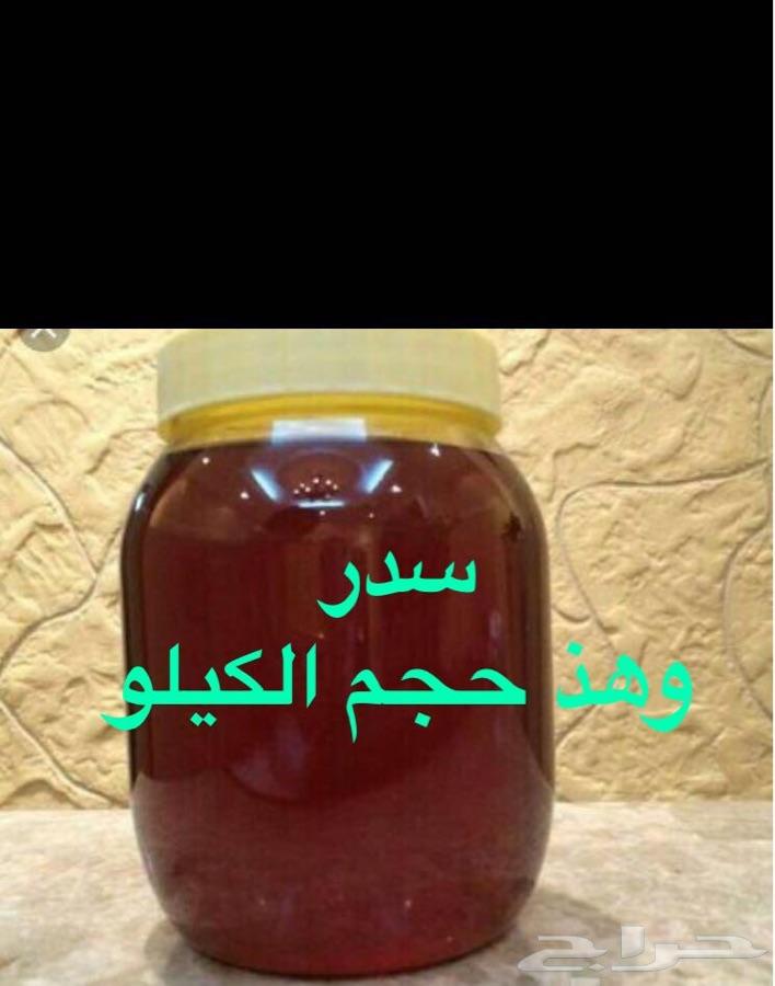 عسل سدر